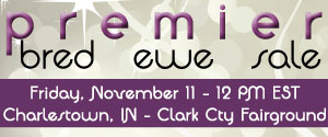 Premier Bred Ewe Sale